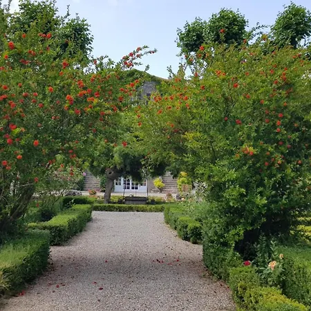 Dans L'aile Du Chateau 130m2 6 Personnes Lägenhet Carcassonne