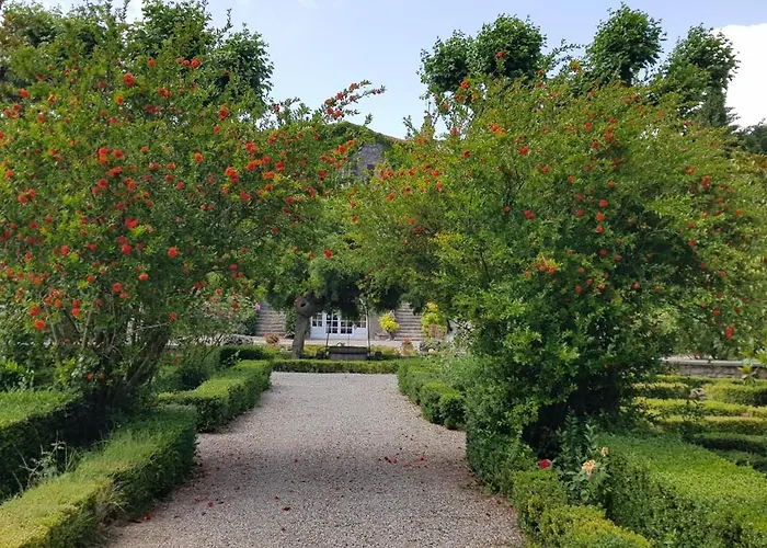 Dans L'aile Du Chateau 130m2 6 Personnes 公寓 卡尔卡松